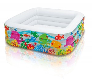 Clearview Aquarium Pool, Multi Color