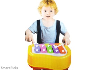 Smart Picks Beautiful Melody Xylophone Color May Vary